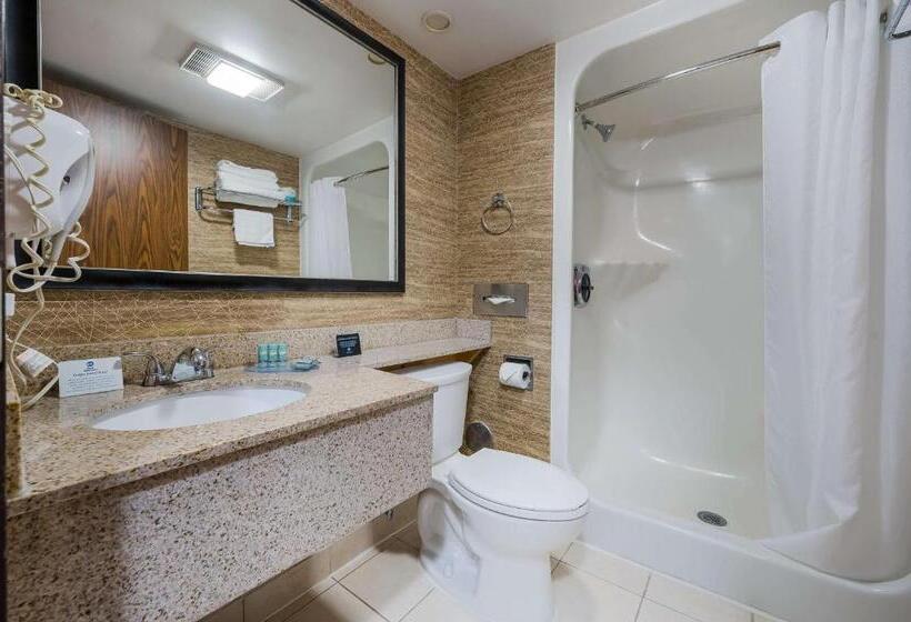 Люкс Кровать Кинг, Best Western Detroit Livonia