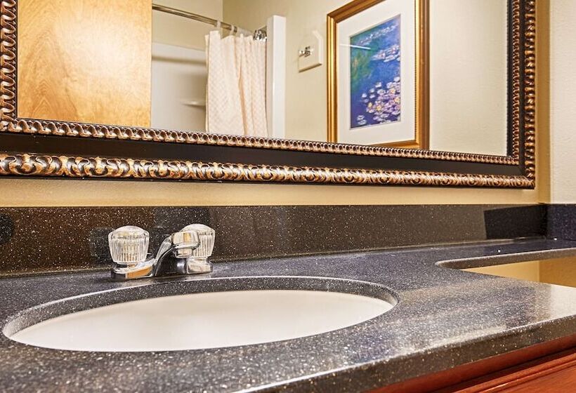 Люкс, Best Western Lapeer Inn