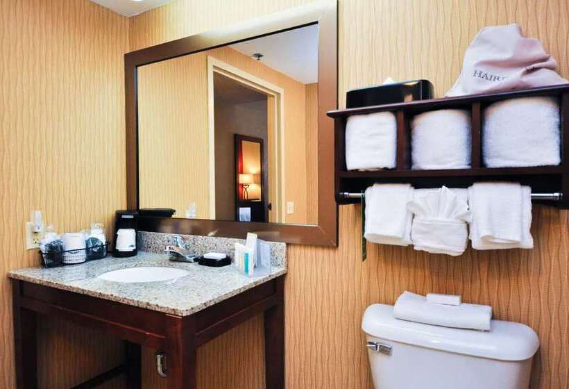Номер Стандарт, Hampton Inn & Suites Houghton
