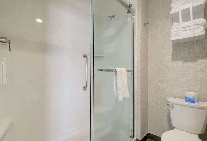 Стандартный Номер Кровать Кинг, Hampton Inn & Suites Houghton