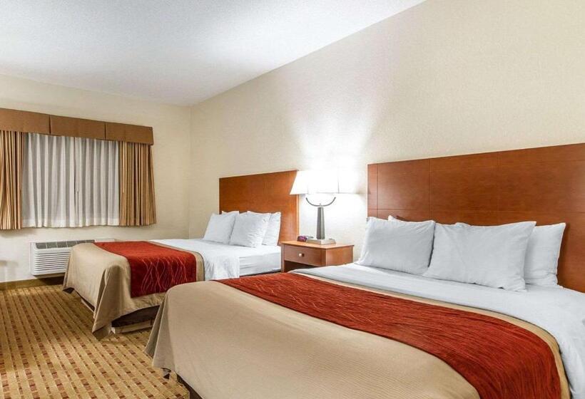 Номер Стандарт, Quality Inn & Suites
