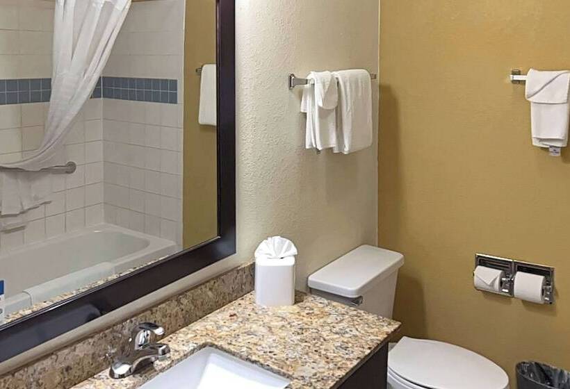 Люкс, Quality Inn & Suites Farmington