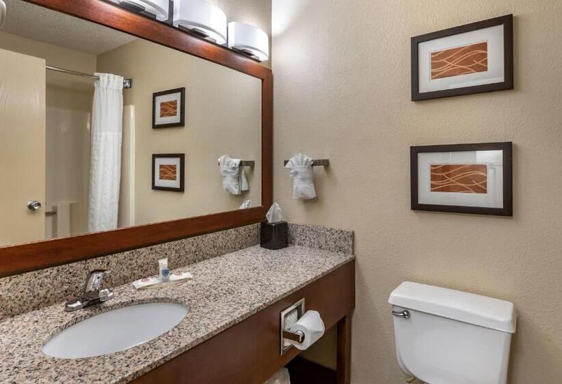 스탠다드 룸, Comfort Inn Moline  Quad Cities