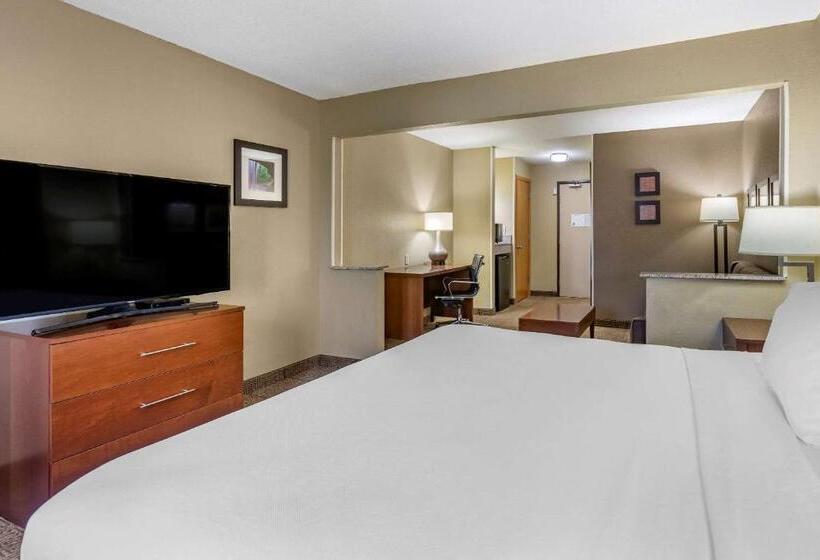 스위트 킹사이즈 침대, Comfort Inn Moline  Quad Cities
