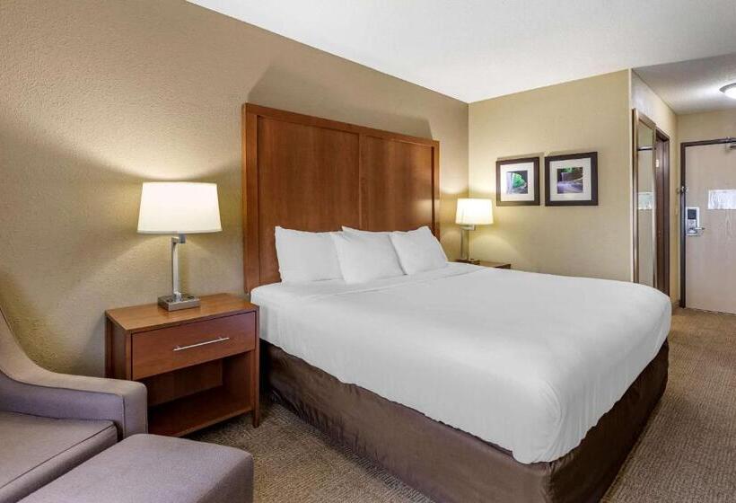 장애인을 위한 스탠다드 룸, Comfort Inn Moline  Quad Cities