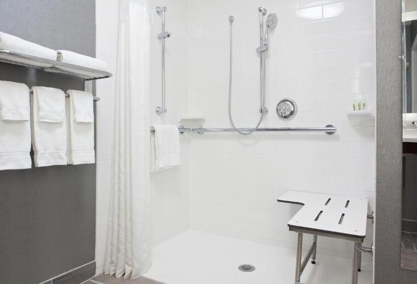 Номер Стандарт Адаптированный для Инвалидов, Holiday Inn Weirtonsteubenville Area