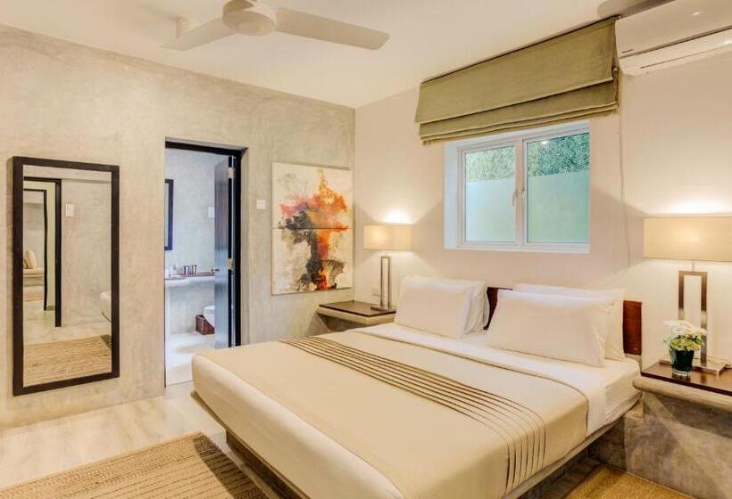 Классический Номер, Nyne Hotels   Lake Lodge, Colombo