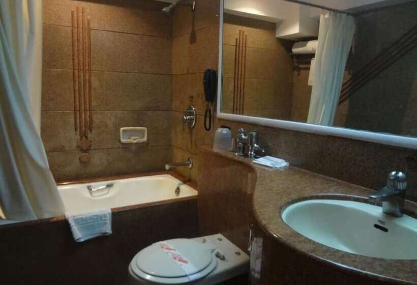 Номер Deluxe, Midtown Pritam