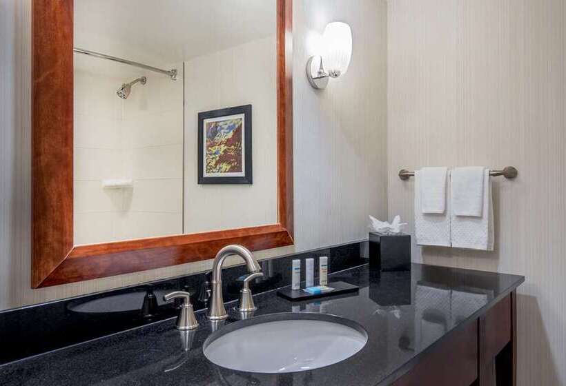 Suite, Embassy Suites By Hilton Chicago Downtown River North