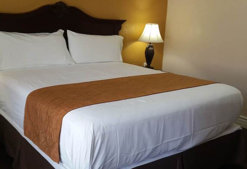 스탠다드 룸 킹사이즈 침대, American Regency Inn