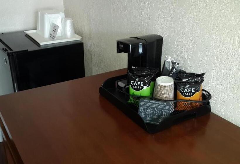 스탠다드 룸 킹사이즈 침대, American Regency Inn