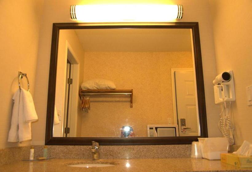 キングサイズベッドのスタンダードルーム, Best Budget Inn & Suites Kamloops
