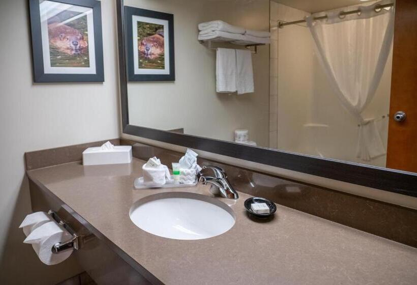 Quarto Estandar, Pocaterra Inn & Waterslide