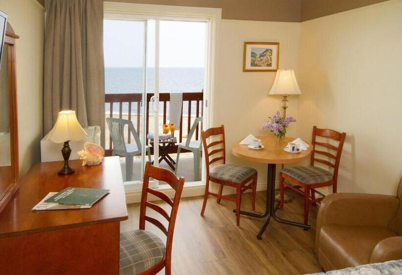 스탠다드 룸 퀸사이즈 침대, Motel Belle Plage