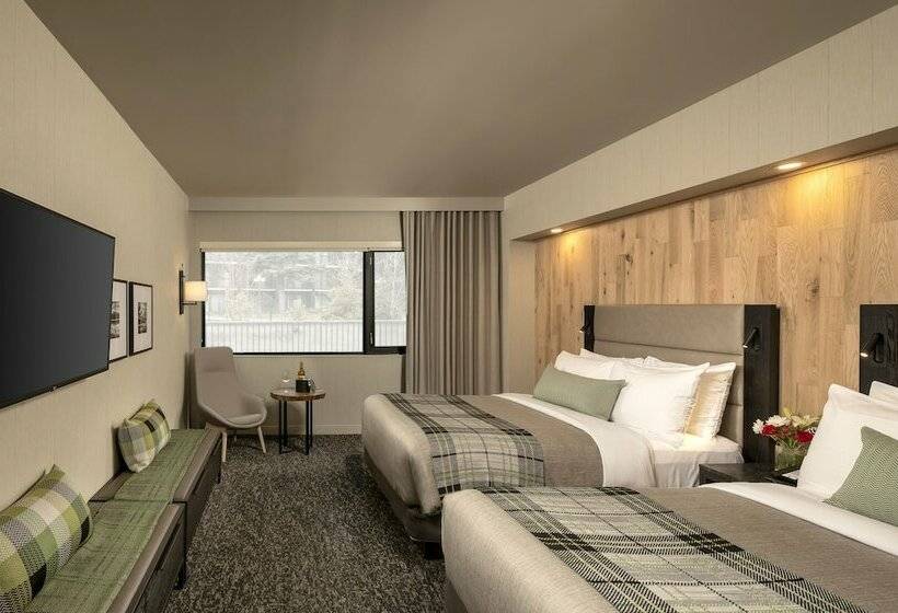 带2个双人床的标准工作室, Peaks Hotel And Suites
