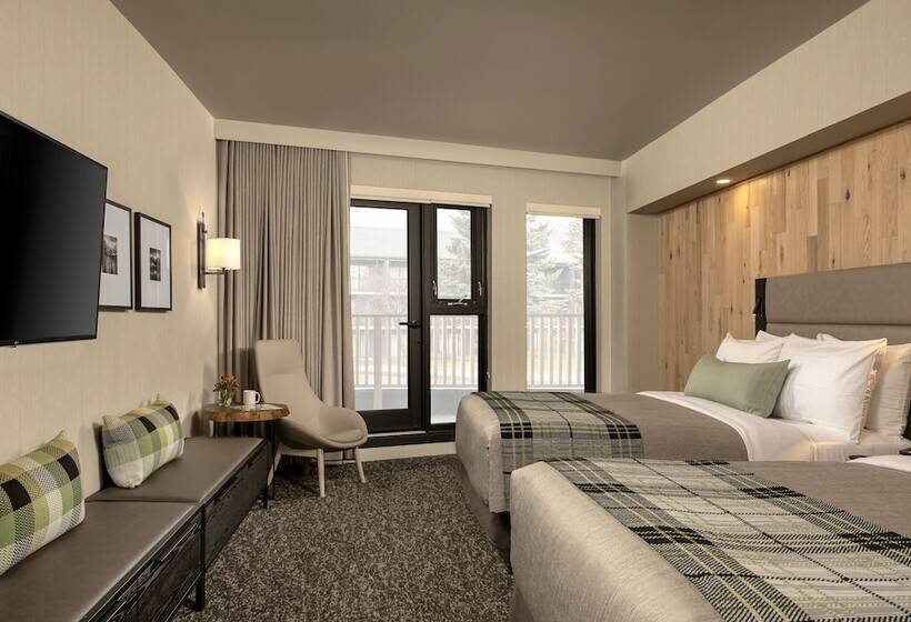 带四张床的标准工作室, Peaks Hotel And Suites