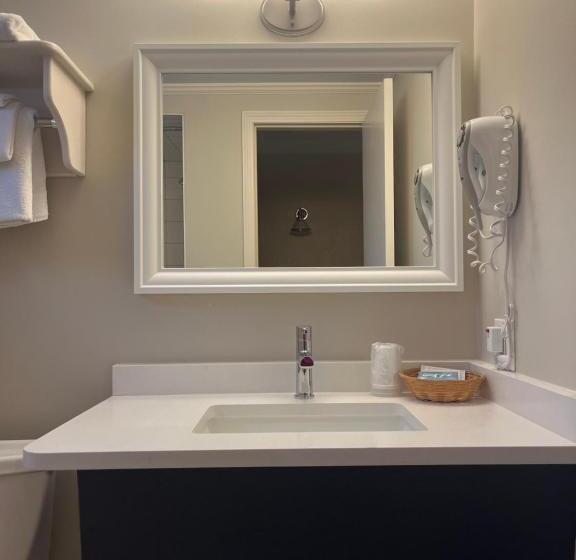 デラックスルーム, Revelstoke Lodge