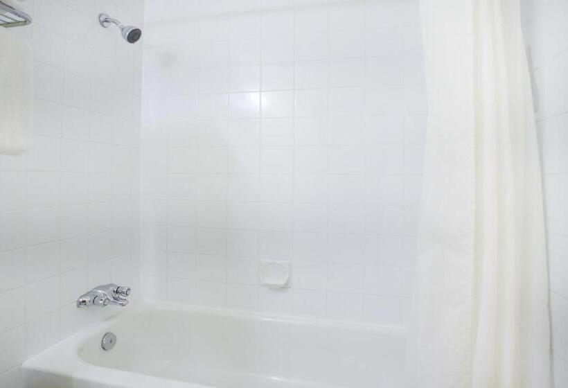 Quarto Estandar, Fernie Fox