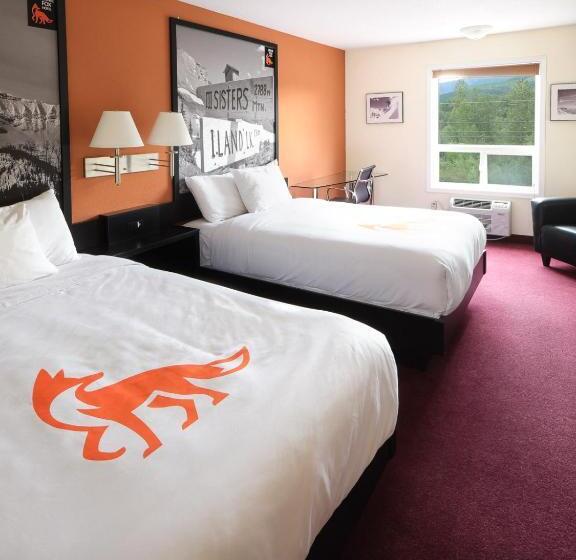 Quarto Estandar, Fernie Fox