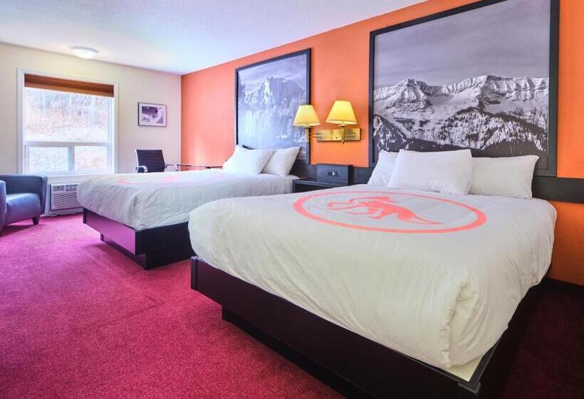 Quarto Estandar, Fernie Fox