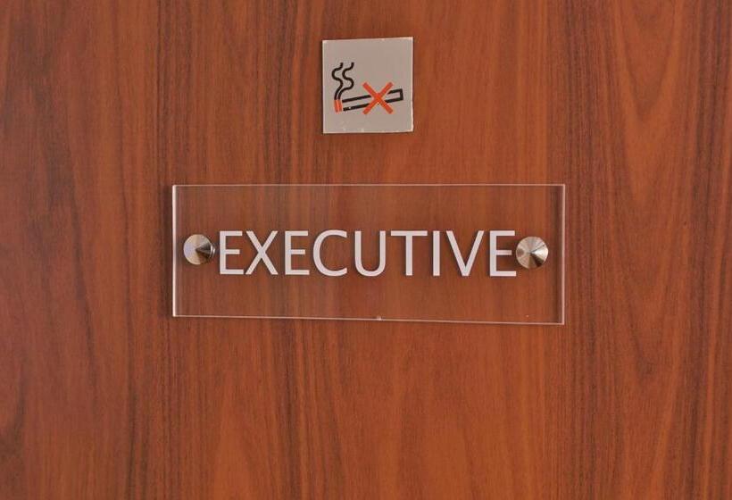 Номер Executive, Logis Hôtel Du Midi   Saint Etienne Sud