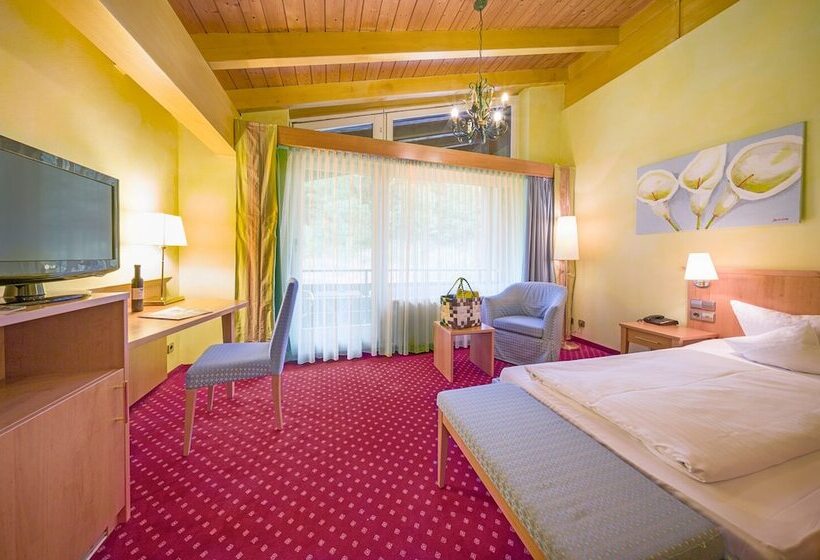 اتاق استاندارد, Ringhotel Mönch`s Wald