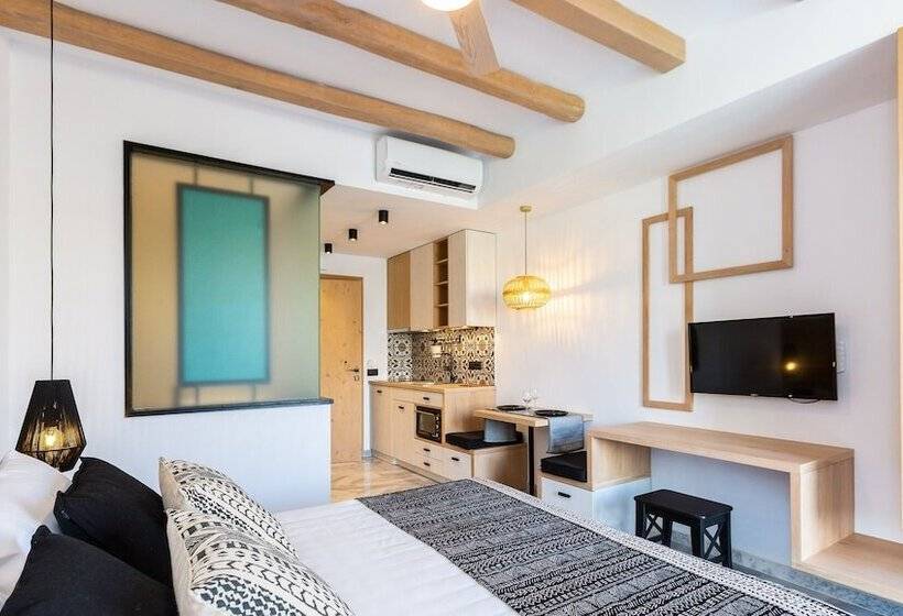 Apartamento Deluxe 1 Dormitório, Theros