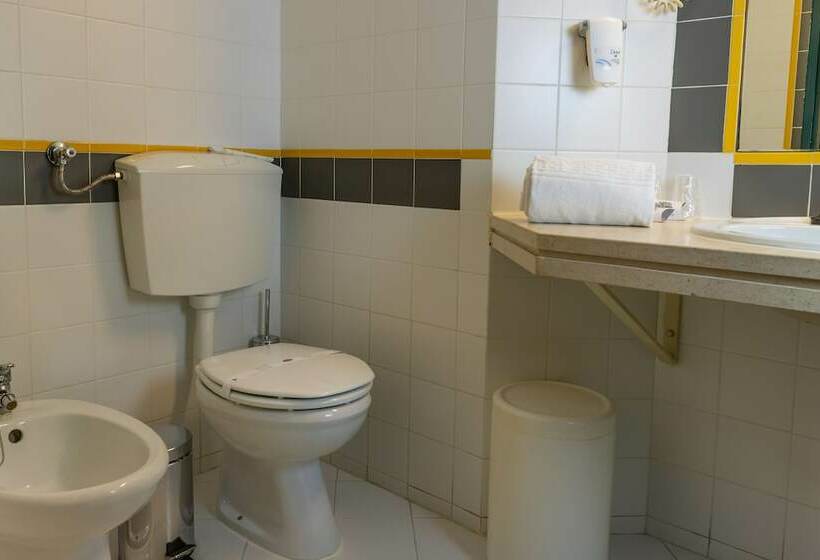 Habitación Estándar, Flag Hotel Guimarães Fafe