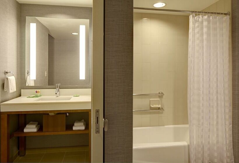 סוויטה מותאמת לאדם עם מוגבלויות, Hyatt Place Tampa/wesley Chapel