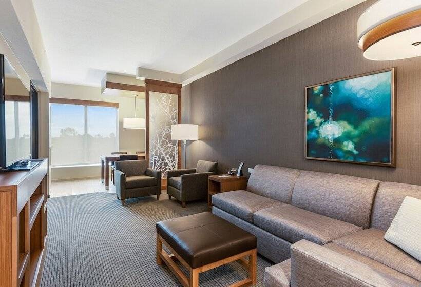 סוויטה, Hyatt Place Tampa/wesley Chapel