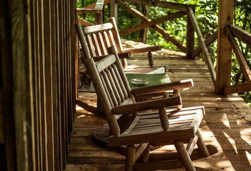 带观景的标准工作室, Nolichuckey Bluffs Bed & Breakfast Cabins