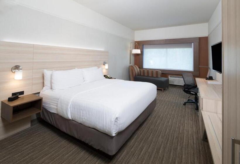 キングサイズベッドのスイートルーム, Holiday Inn Express & Suites   Michigan City, An Ihg