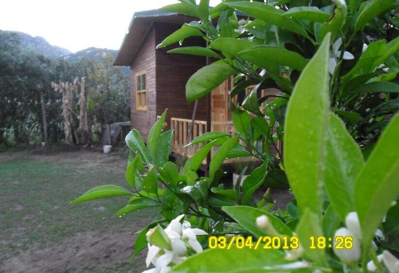 بنگله خانوادگی, Cesur Pansiyon