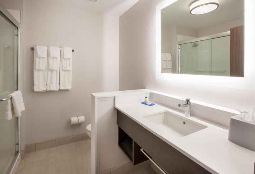 身障者適用スイートルーム, Holiday Inn Express & Suites Chicago O Hare Airport, An Ihg