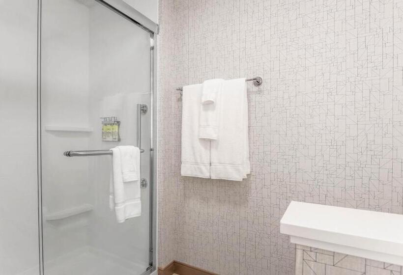 身障者適用キングサイズベッドルーム, Holiday Inn Express & Suites Chicago O Hare Airport, An Ihg