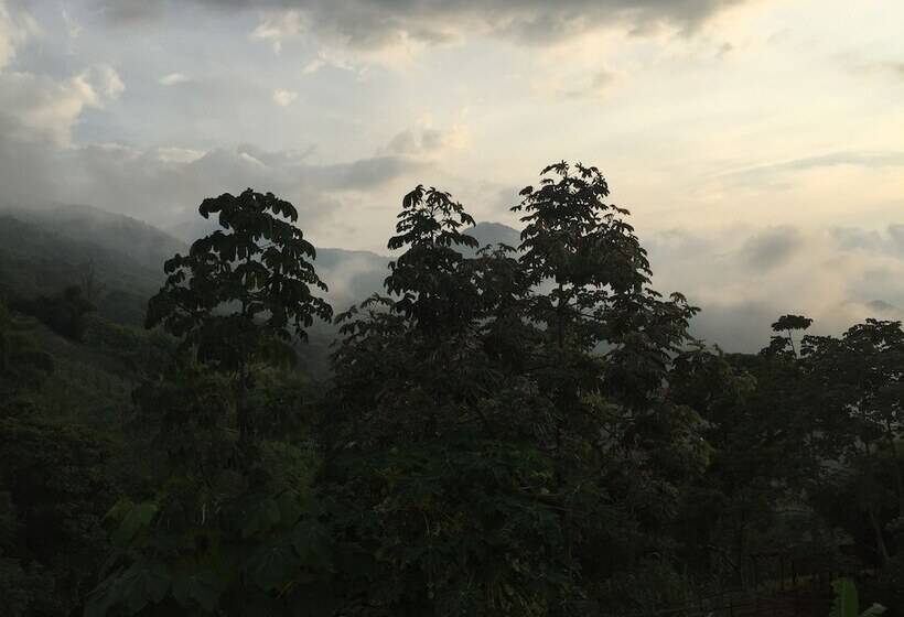 스탠다드 룸, Finca San Rafael   Cafe Y Cacao
