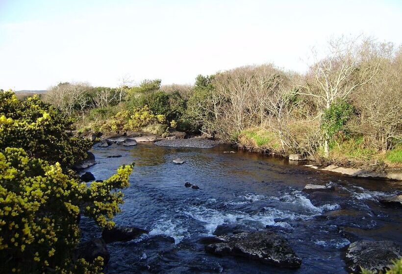 스탠다드 룸, Cloverfox Connemara   Hostel