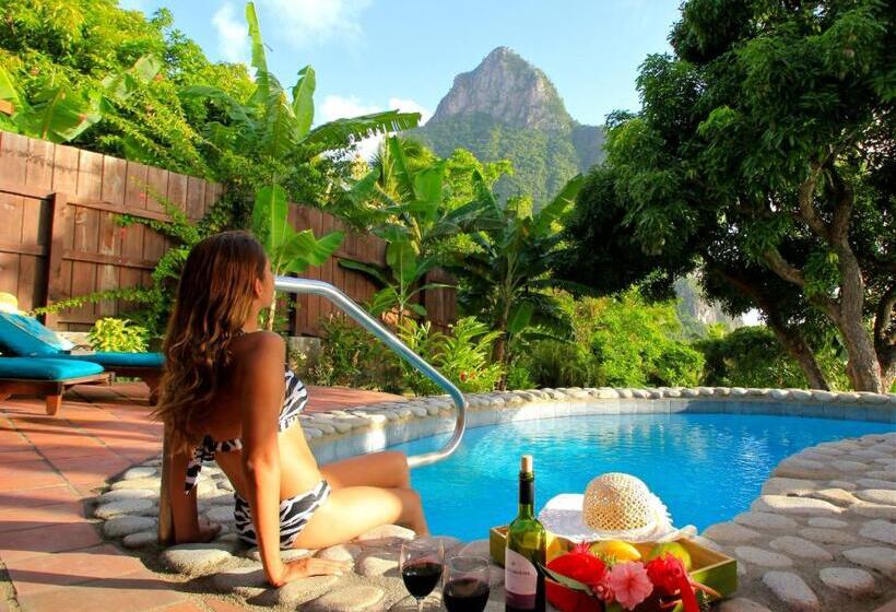 ویلای 1 خوابه با چشم‌انداز دریا, Stonefield Villa Resort