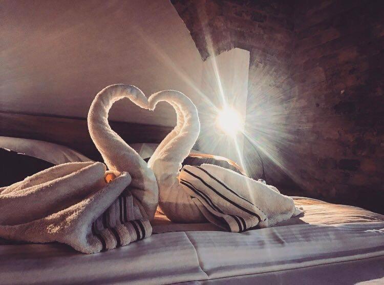 스탠다드 스튜디오, Guesthouse Bed 4 You