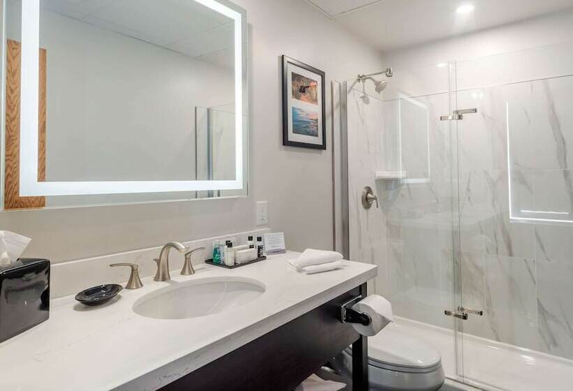 חדר סטנדרט מיטה זוגית, The Courthouse Hotel, Ascend Hotel Collection