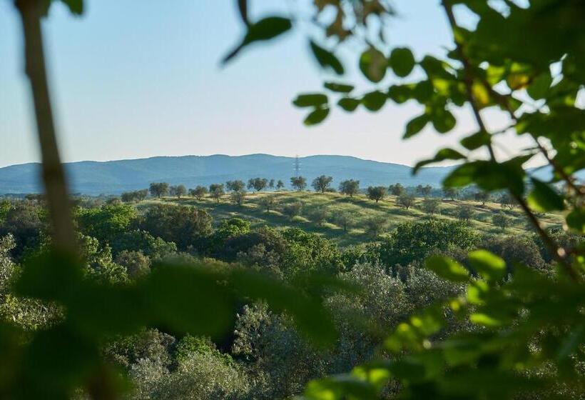 Студио Стандарт Вид на Сад, Agriturismo Tesorino