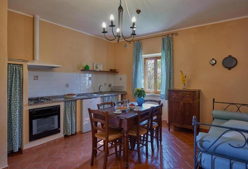 Апартаменты 1 Спальня с Террасой, Agriturismo Tesorino