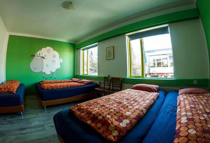 Family Room, Selfoss Hostel
