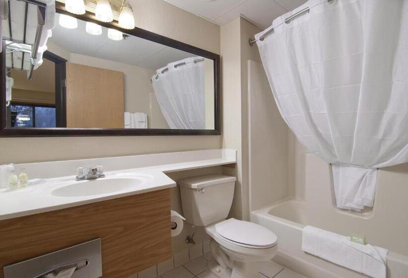Номер Стандарт Индивидуальный, Boarders Inn & Suites By Cobblestone Hotels   Faribault
