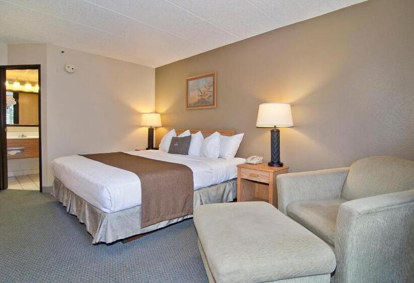 스탠다드 싱글 룸, Boarders Inn & Suites By Cobblestone Hotels   Faribault
