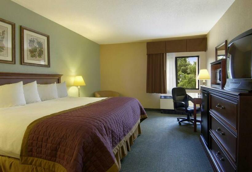 キングサイズベッドのスタンダードルーム, Bay Mountain Inn Cherokee Smoky Mountains