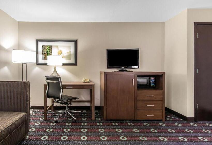 Люкс Кровать Кинг, Comfort Inn Midtown