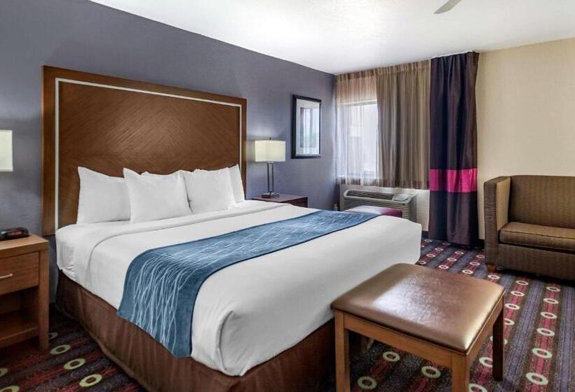 جناح سرير كينج, Comfort Inn Midtown