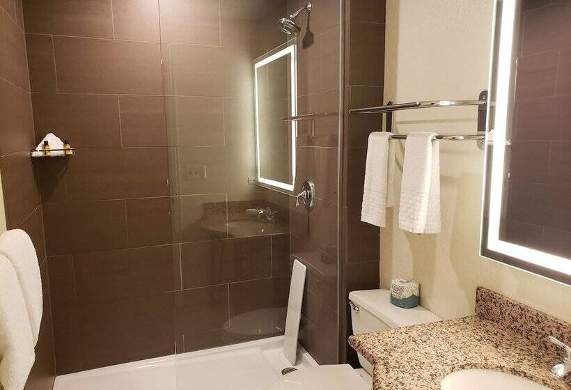 غرفة قياسية, Best Western Plus Hawthorne Terrace