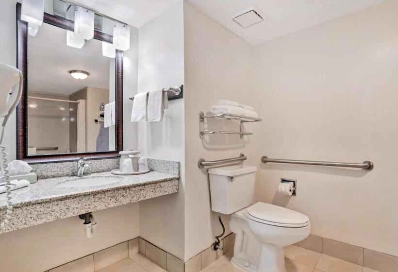اتاق استاندارد با تخت بزرگ برای معلولان, Best Western Vicksburg